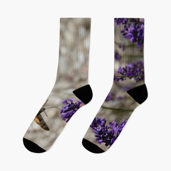 Item preview, Hummingbird hawk-moth in flight on lavender flowers designed and sold by EstelleRossetti.