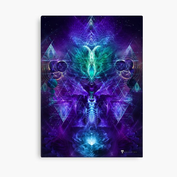 Psychonaut Canvas Print