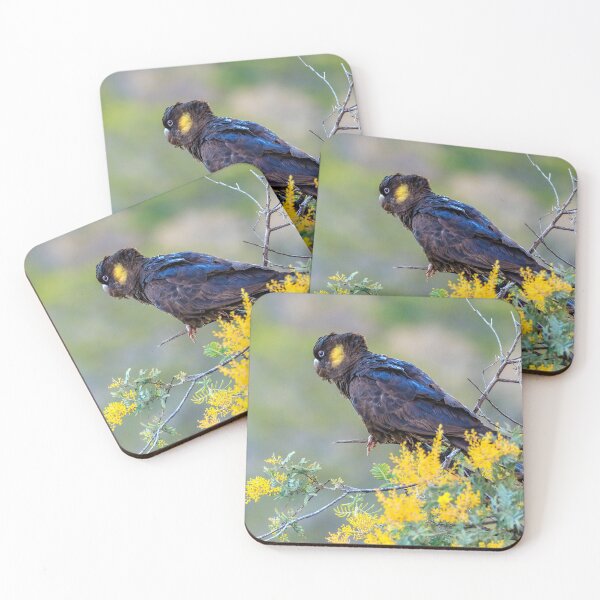 Item preview, Yellow-Tail Black Cockatoo designed and sold by Luke Foster.