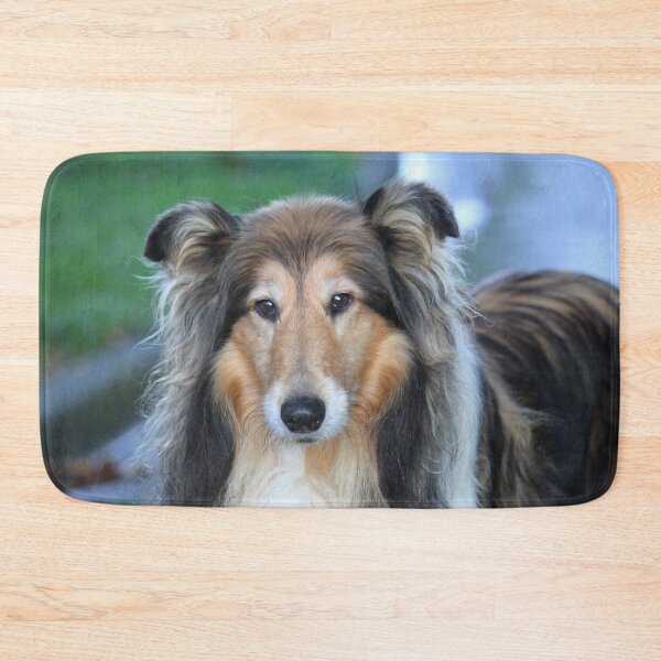 Item preview, Shaded Sable Rough Collie designed and sold by KarenWoodArt.