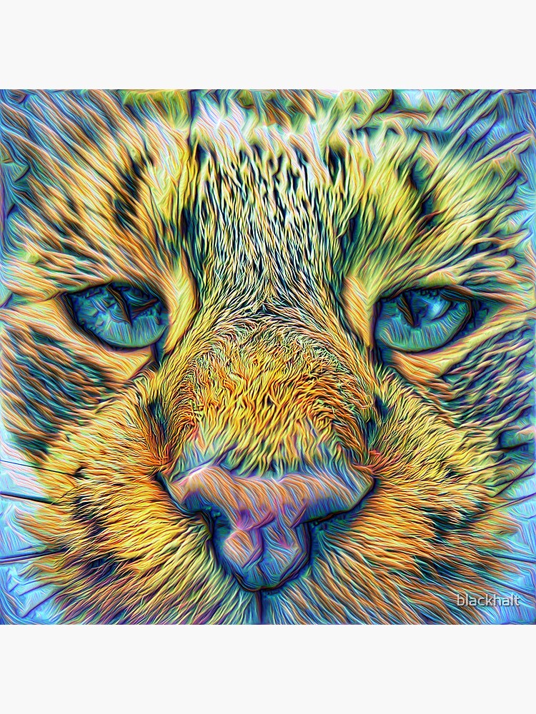#DeepDreamed Cat v1449127170 by blackhalt
