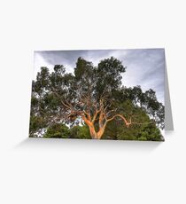 The Eleventh Greeting Card