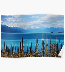 Lake Pukaki Poster