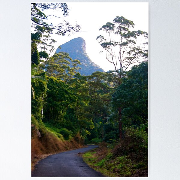 Item preview, The Road to Mt. Warning designed and sold by pictureit.