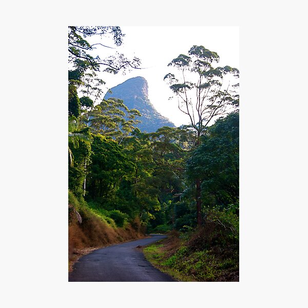 Item preview, The Road to Mt. Warning designed and sold by pictureit.