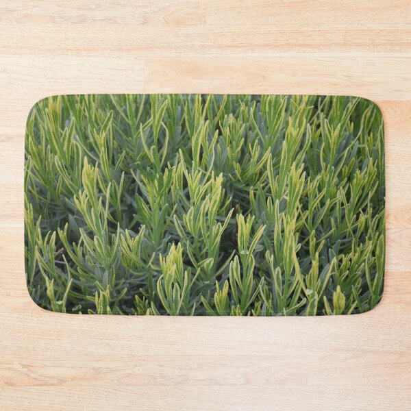 Item preview, lavender designed and sold by Boscastle.