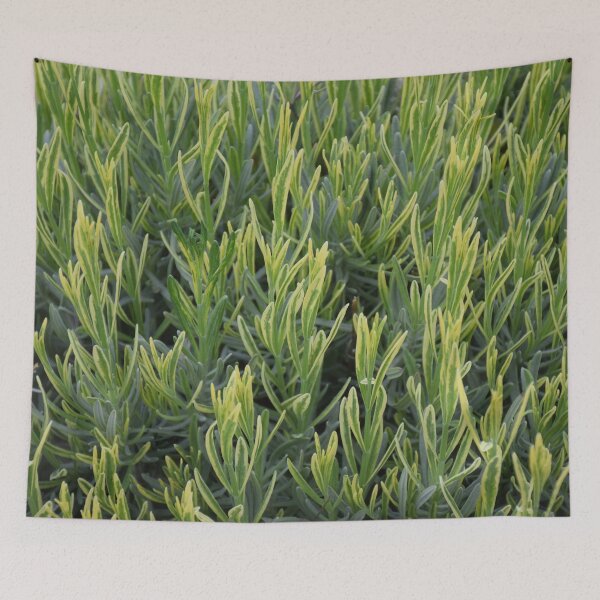 Item preview, lavender designed and sold by Boscastle.