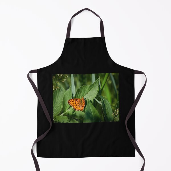 Item preview, Fritillary in the summer designed and sold by Jouko Lehto Photography.