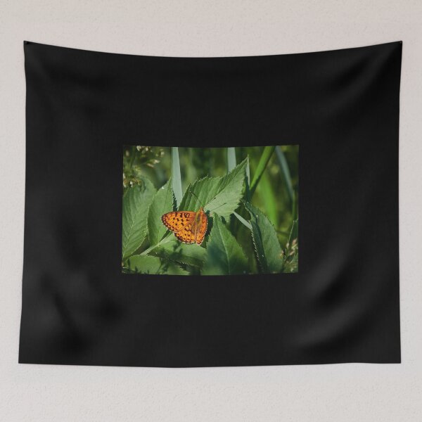 Item preview, Fritillary in the summer  designed and sold by Jouko Lehto Photography.