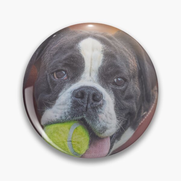 Item preview, Boxer with Tennis Ball designed and sold by Elisabeth Lucas.