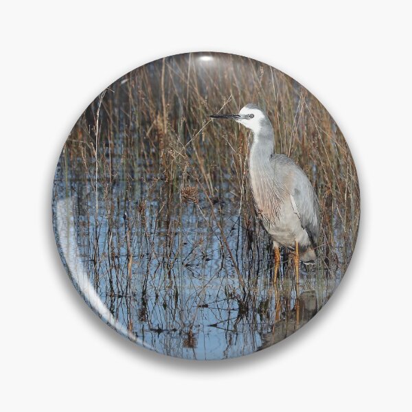 Item preview, White faced Heron 66 designed and sold by kevin Chippindall.