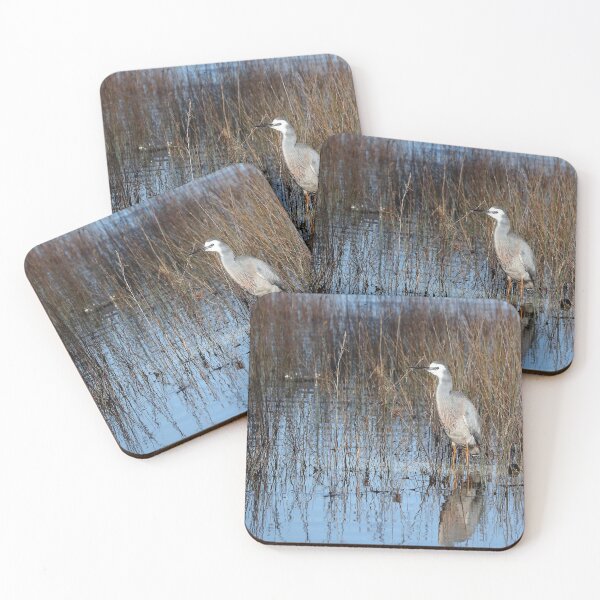 Item preview, White faced Heron 66 designed and sold by kevin Chippindall.