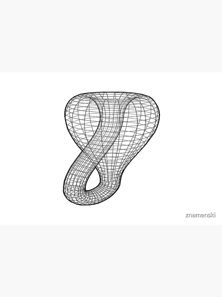 A two-dimensional representation of the Klein bottle immersed in three-dimensional space, #TwoDimensional, #representation, #KleinBottle, #immersed, #ThreeDimensional, #space by znamenski