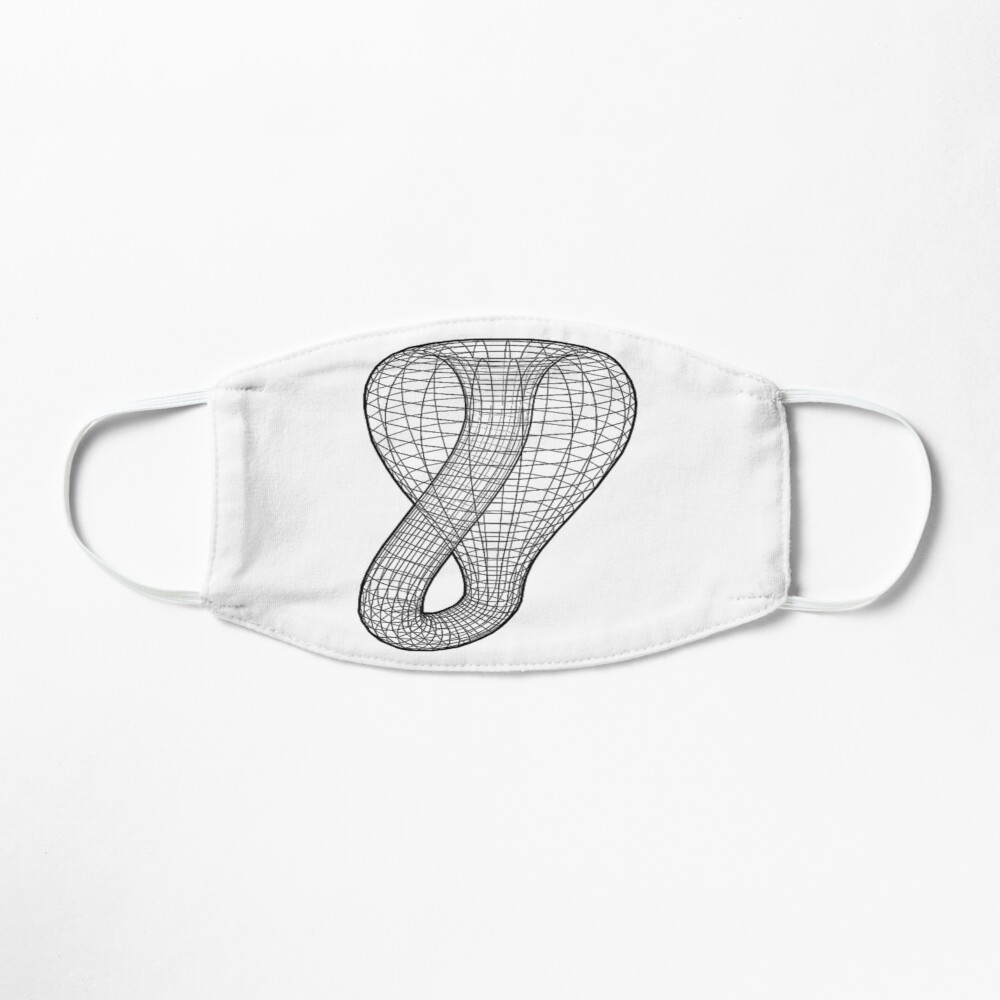 A two-dimensional representation of the Klein bottle immersed in three-dimensional space, #TwoDimensional, #representation, #KleinBottle, #immersed, #ThreeDimensional, #space Mask