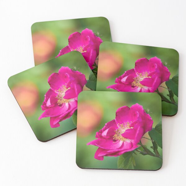 Item preview, Pink roses 7 designed and sold by Jouko Lehto Photography.