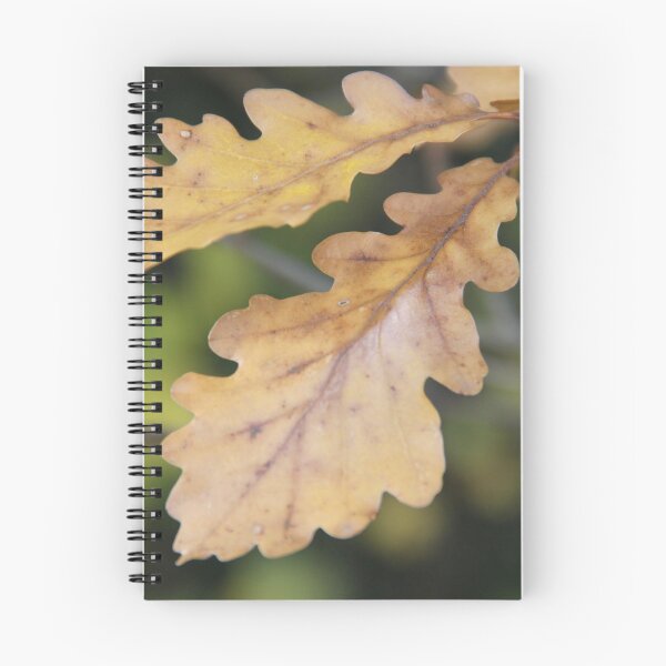 Item preview, Oak dead leaves designed and sold by EstelleRossetti.