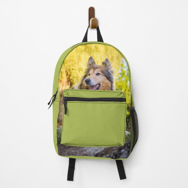 Item preview, Collie Gold designed and sold by KarenWoodArt.