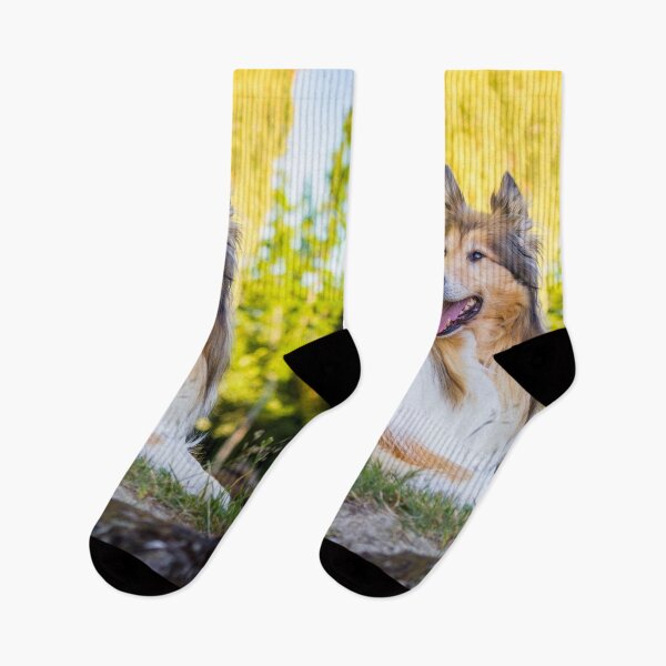 Item preview, Collie Gold designed and sold by KarenWoodArt.