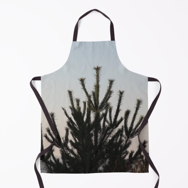 Item preview.