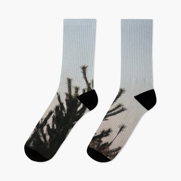 Item preview.