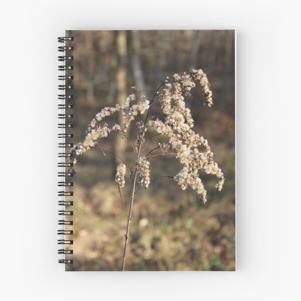 Item preview, Dried herbaceous plant flower bloom seeds springtime designed and sold by EstelleRossetti.