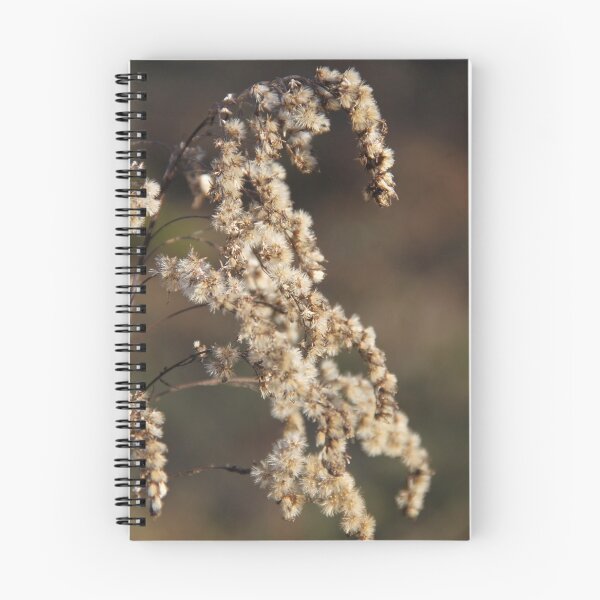 Item preview, Dried herbaceous plant flower bloom seeds springtime designed and sold by EstelleRossetti.