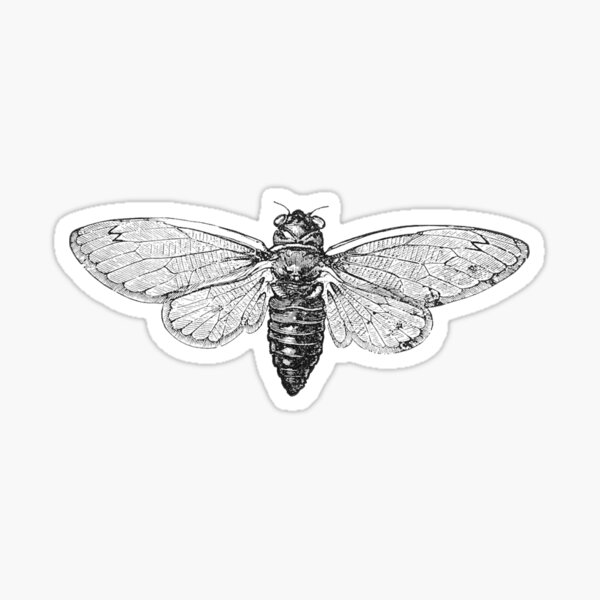Item preview, High Quality Cicada designed and sold by Perzikman1.