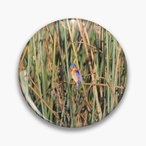 Item preview, Bismarck kingfisher in the reeds designed and sold by EstelleRossetti.