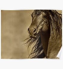 Chief Poster