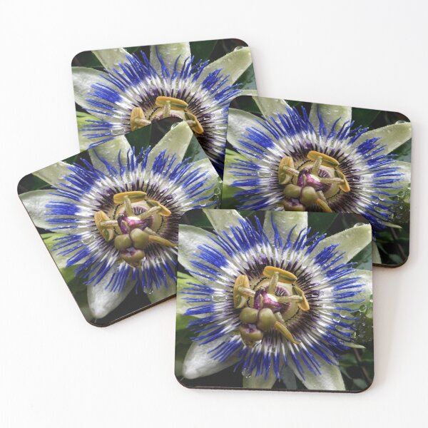 Item preview, Close up passion flower designed and sold by snaphappy1.