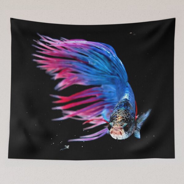 Item preview, Copy of Betta fishes designed and sold by KellyJanosko-bd.