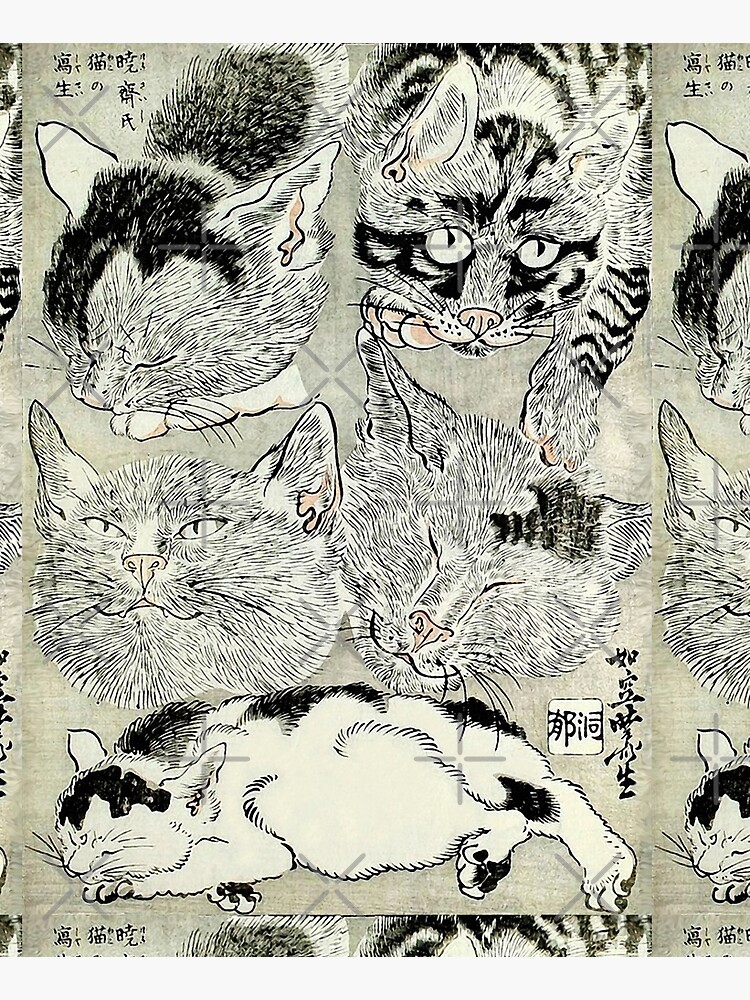 BLACK WHTE JAPANESE CATS Study by BulganLumini