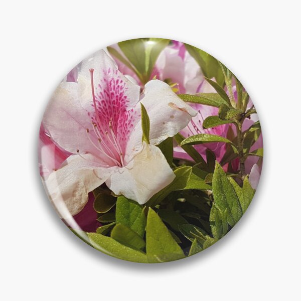 Item preview, Azalea japonica designed and sold by Raspberry-Cat.