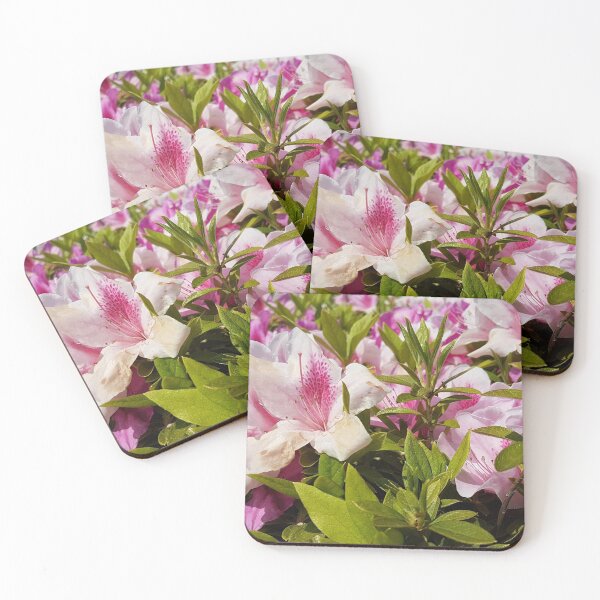Item preview, Azalea japonica designed and sold by Raspberry-Cat.