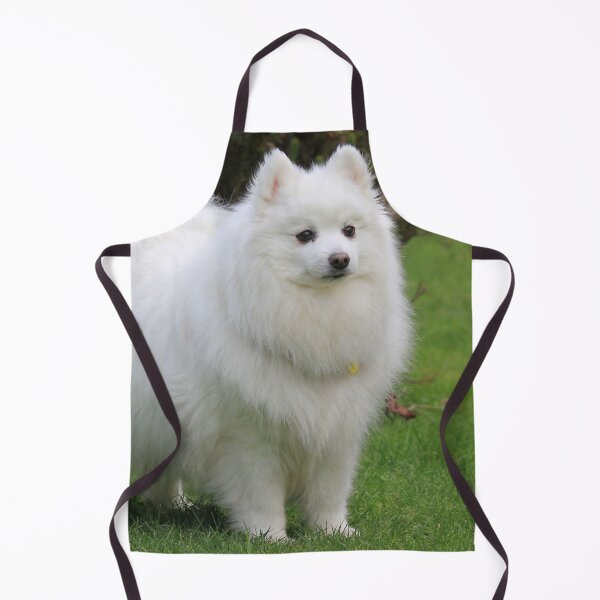 Item preview, Garden Spitz  designed and sold by KarenWoodArt.
