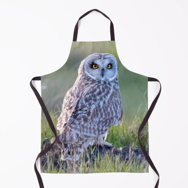 Item preview, what you looking at designed and sold by tammy mellor.