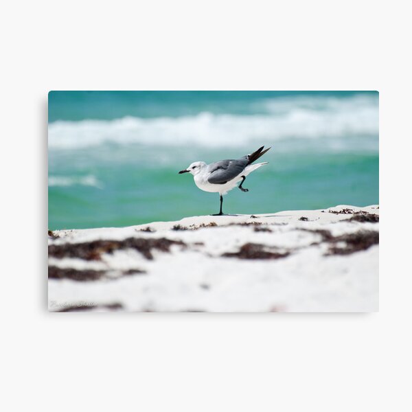 Beach Yoga - 2nd Pose Canvas Print