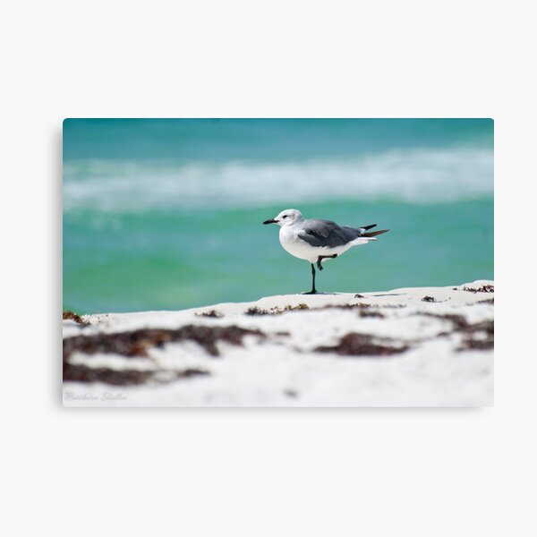 Beach Yoga - Third Pose Canvas Print