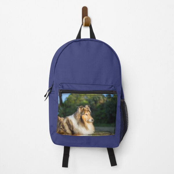 Item preview, Sunshine Collie designed and sold by KarenWoodArt.