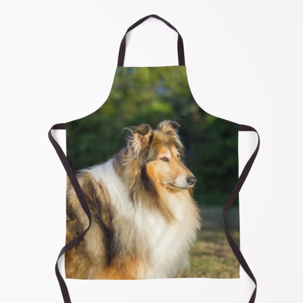 Item preview, Sunshine Collie designed and sold by KarenWoodArt.