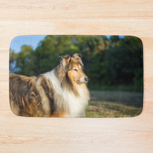 Item preview, Sunshine Collie designed and sold by KarenWoodArt.