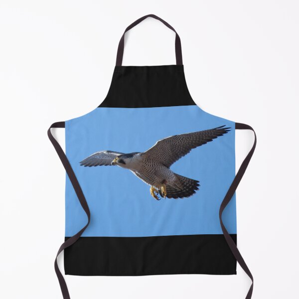 Item preview, beautiful peregrine falcon designed and sold by tammy mellor.