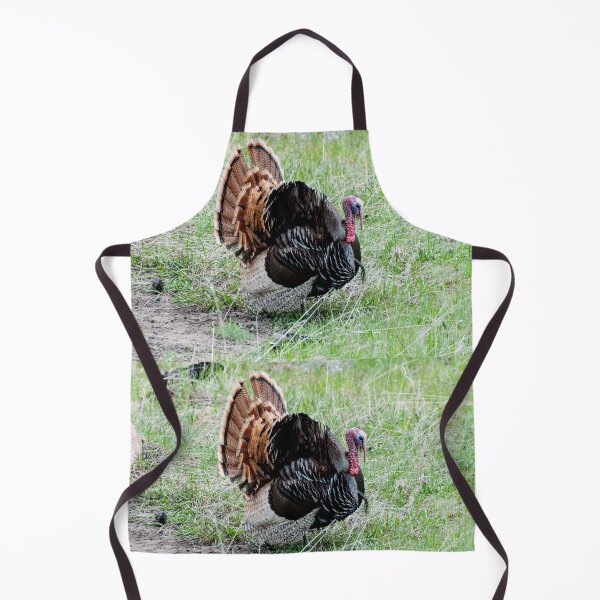 Item preview, Mr. Tom Gobbler designed and sold by Greg Birkett.