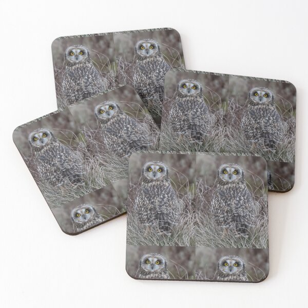 Item preview, short eared owl  designed and sold by tammy mellor.