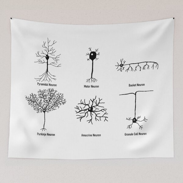 Item preview, Types Of Neurons designed and sold by BundaBear.