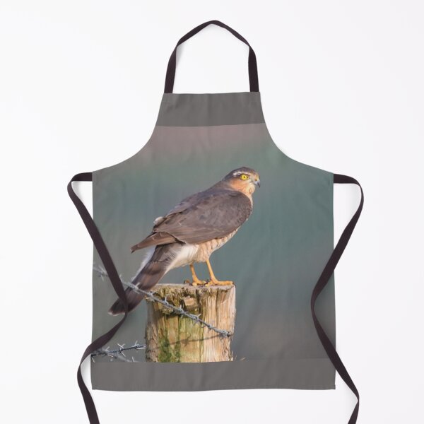 Item preview, sparrow hawk on the look out designed and sold by tammy mellor.