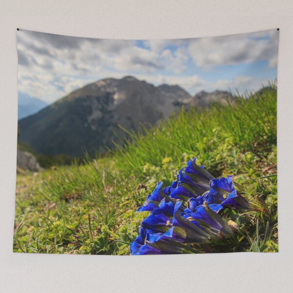 Item preview, Clusius' gentian flowers and mountains designed and sold by Patrik Lovrin.