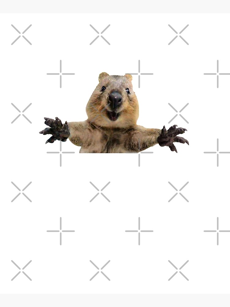 Happy quokka welcoming hug by ballooonfish