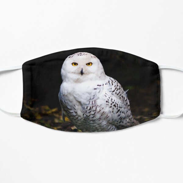 Majestic winter snowy owl Mask