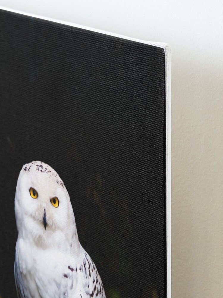 Alternate view of Majestic winter snowy owl Mounted Print